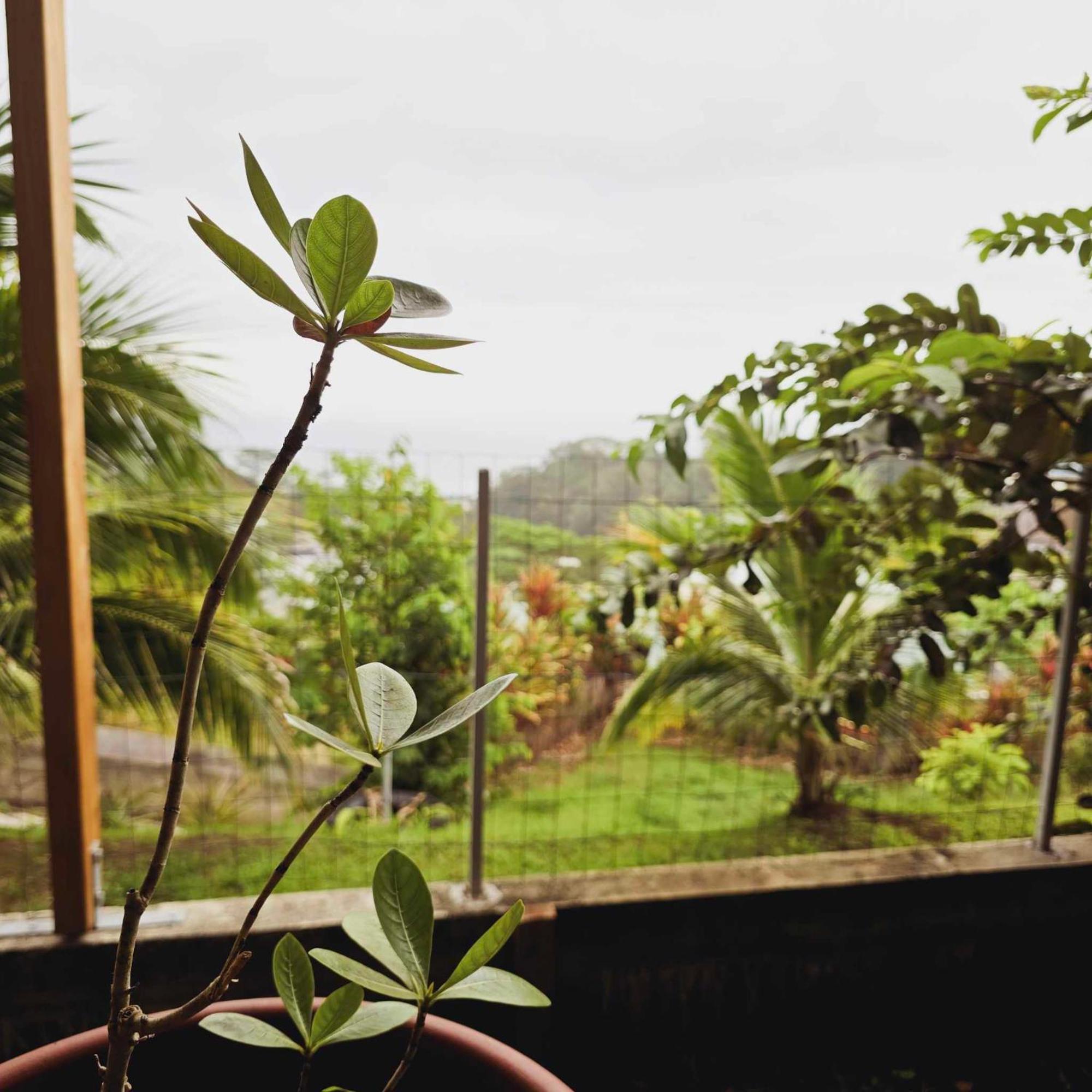 Fare Toahana, Accommodation With A Ocean View Faaa Eksteriør billede